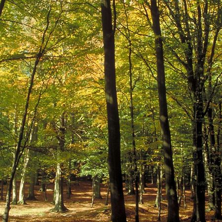 Aigle Noir Fontainebleau Mgallery Luaran gambar